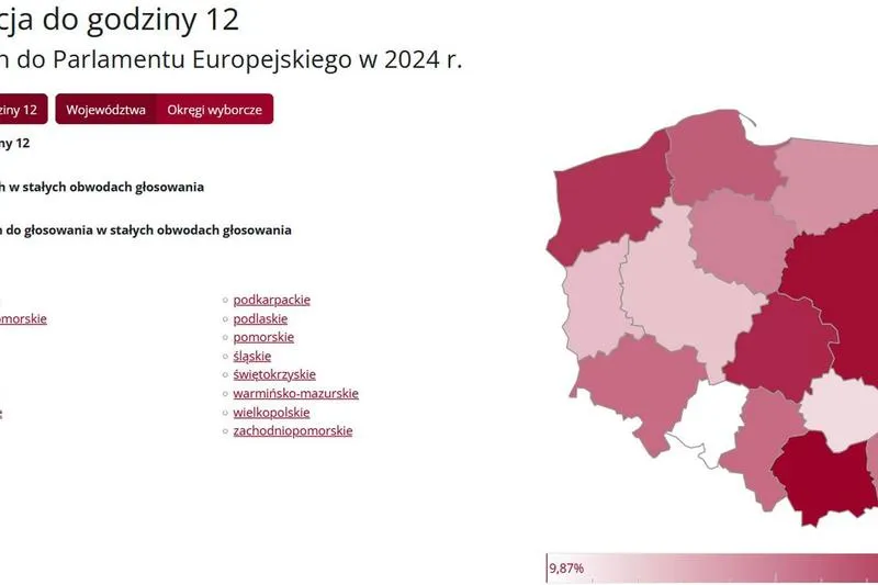 Ważność i legitymacja wyborów prezydenckich