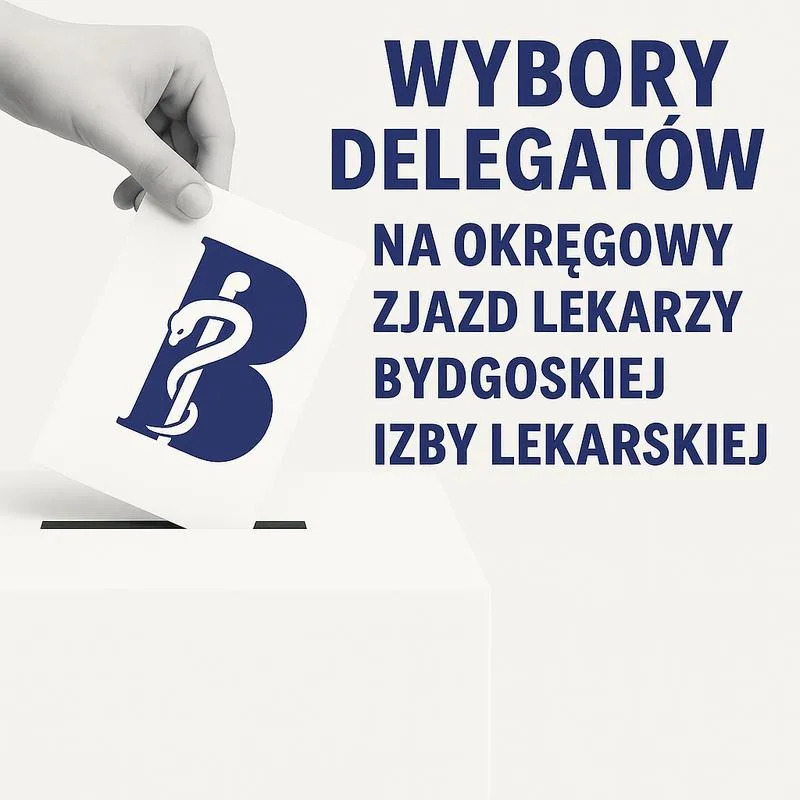 Wybory 2026 przewodnik