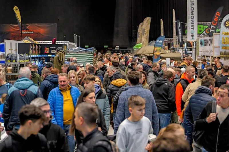 Wybory samorządowe 2026